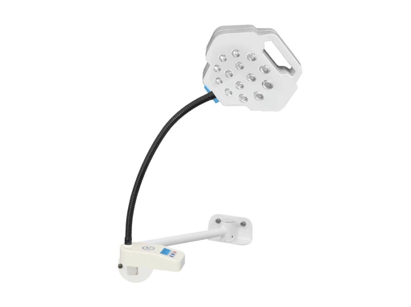 Wall Mounted El Rio LED Examination Light