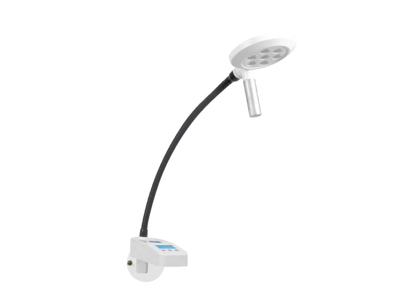 Wall Mounted with Extended Rod